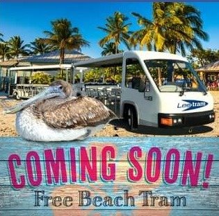 Beach Tram