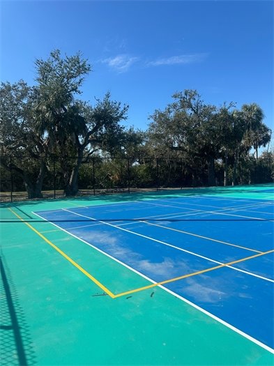 Pickleball Lines