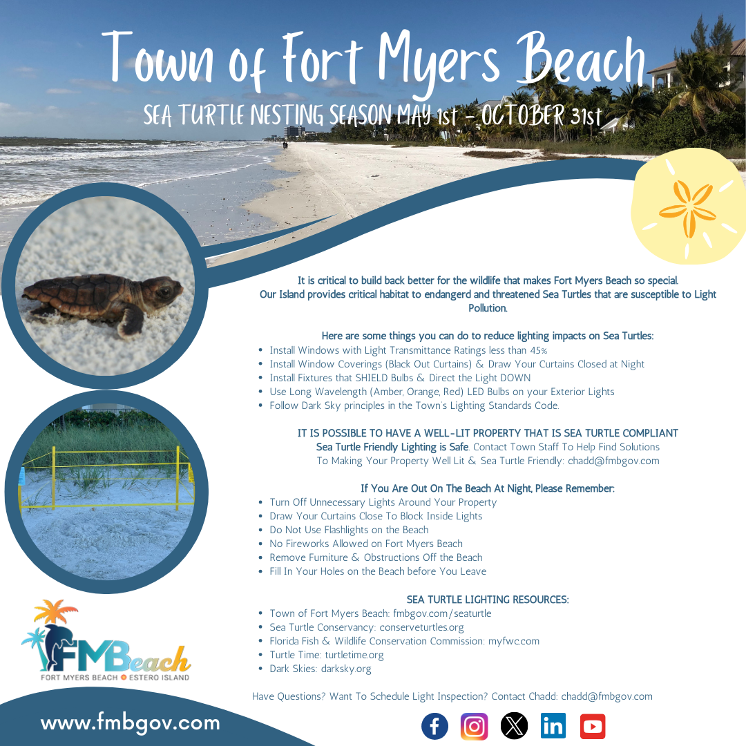 SEA TURTLE NESTING SEASON instagram