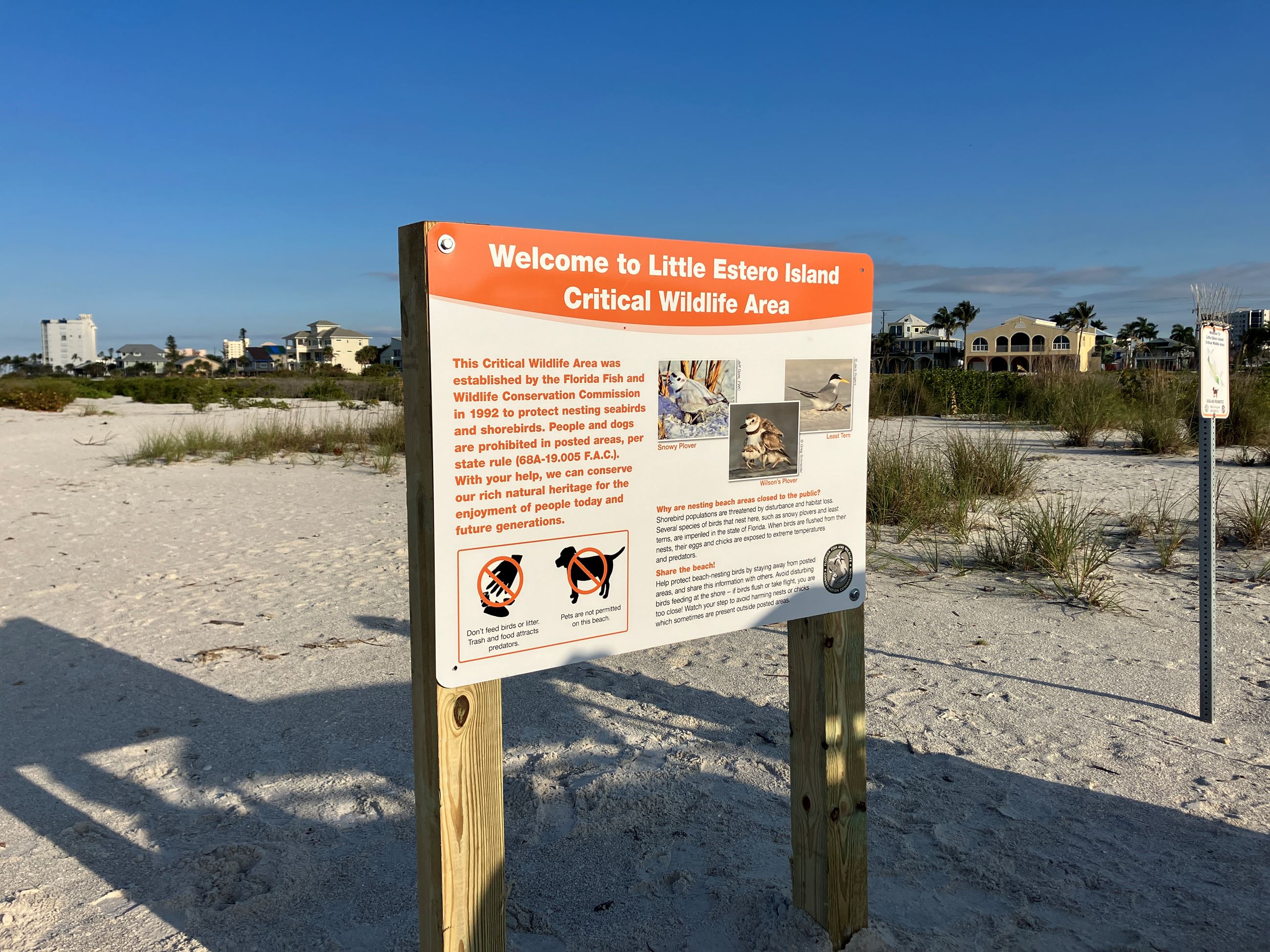 20240319_125351432_iOS